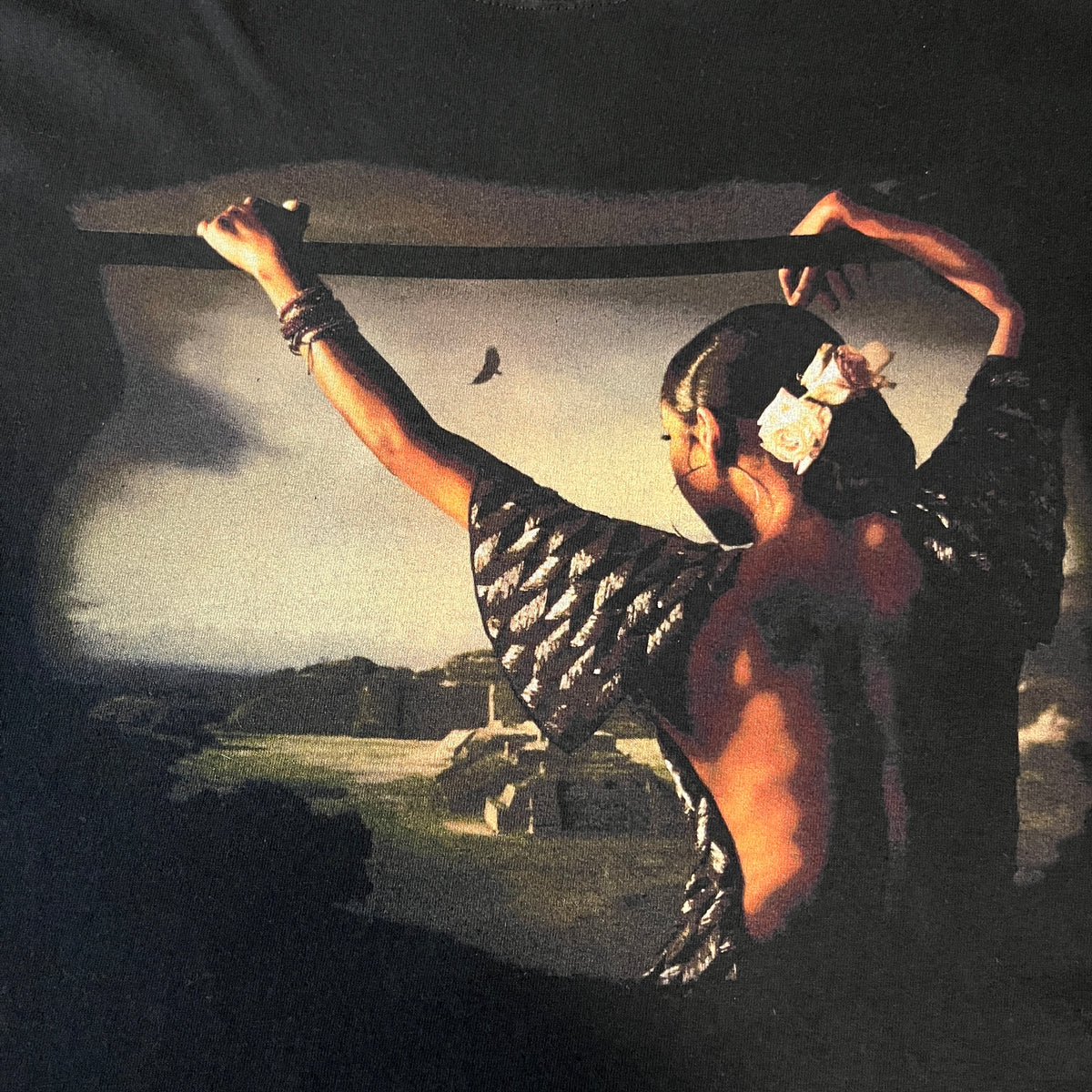 SADE「SOLDIER OF LOVE TOUR」L – Cloakedinblack