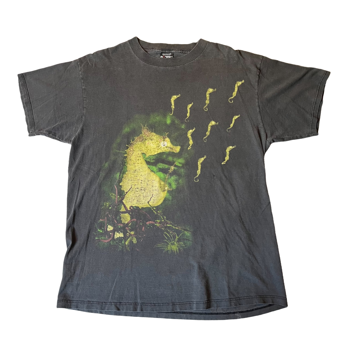 NIRVANA「SEAHORSE」XL