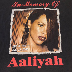 AALIYAH「TRY AGAIN」XL