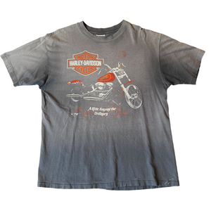 HARLEY DAVIDSON「DAYTON」XL