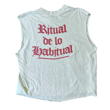 Load image into Gallery viewer, JANES ADDICTION 「RITUAL DE LO HABITUAL」L