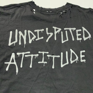 SLAYER「UNDISPUTED ATTITUDE」XL