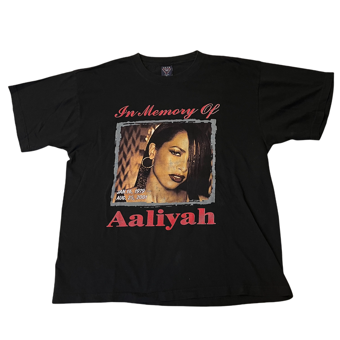 AALIYAH「TRY AGAIN」XL